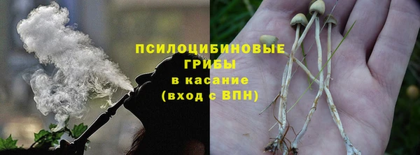 скорость Белокуриха