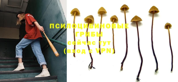 скорость Белокуриха