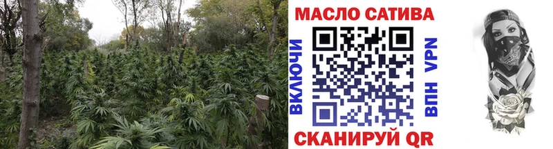 Дистиллят ТГК Wax  Малмыж 