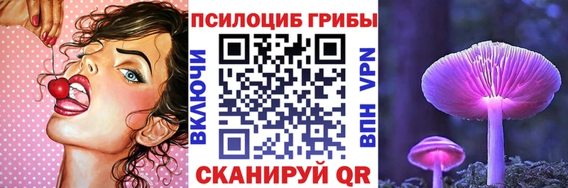 продажа наркотиков  blacksprut сайт  Псилоцибиновые грибы Cubensis  Малмыж 